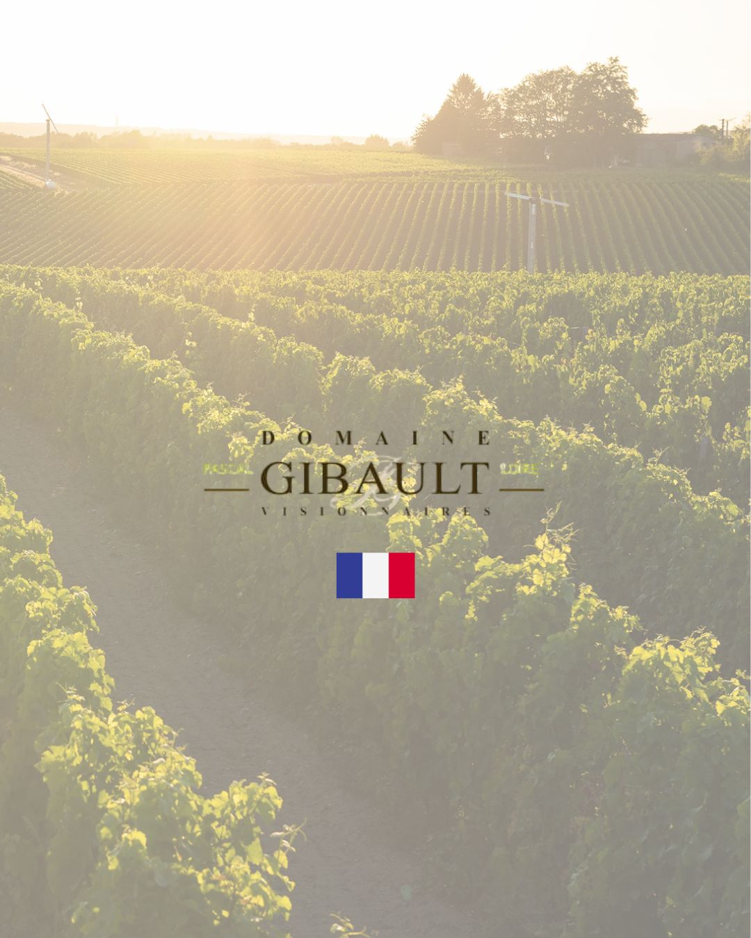 Domaine Gibault