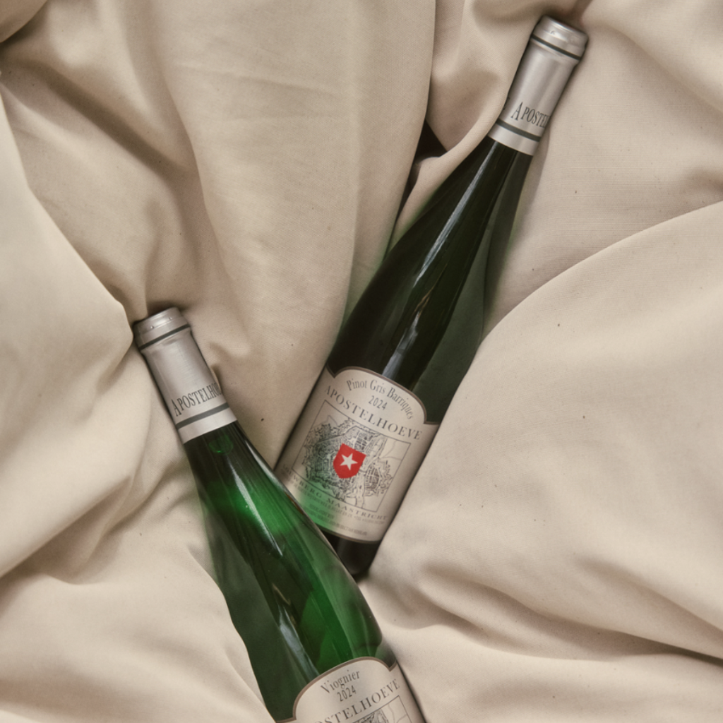 Maastricht Pinot Gris, barriques