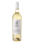 Salento IGP I Tratturi Chardonnay - 2024