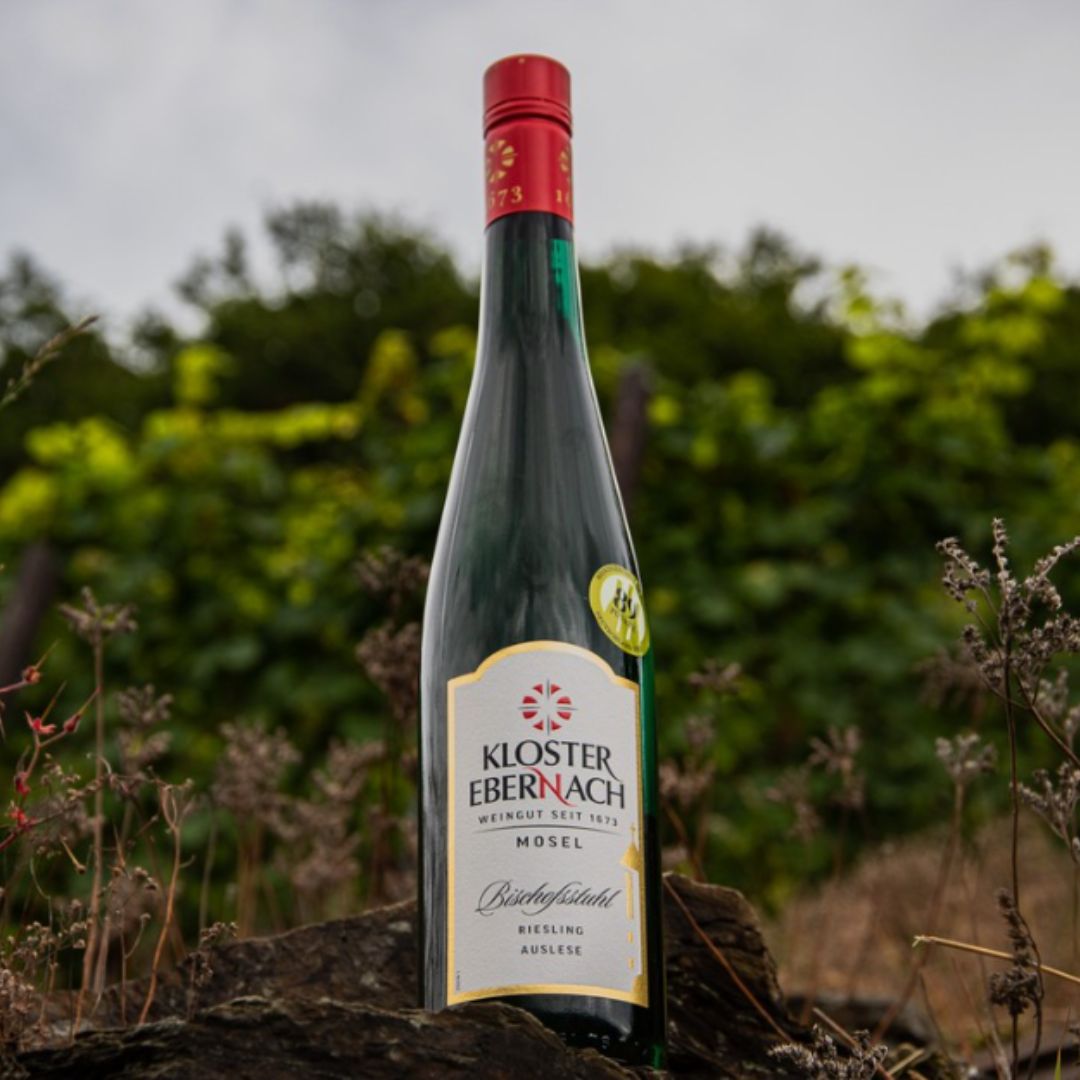 Mosel Cochemer Bischofsstuhl Riesling Spätlese - 2021