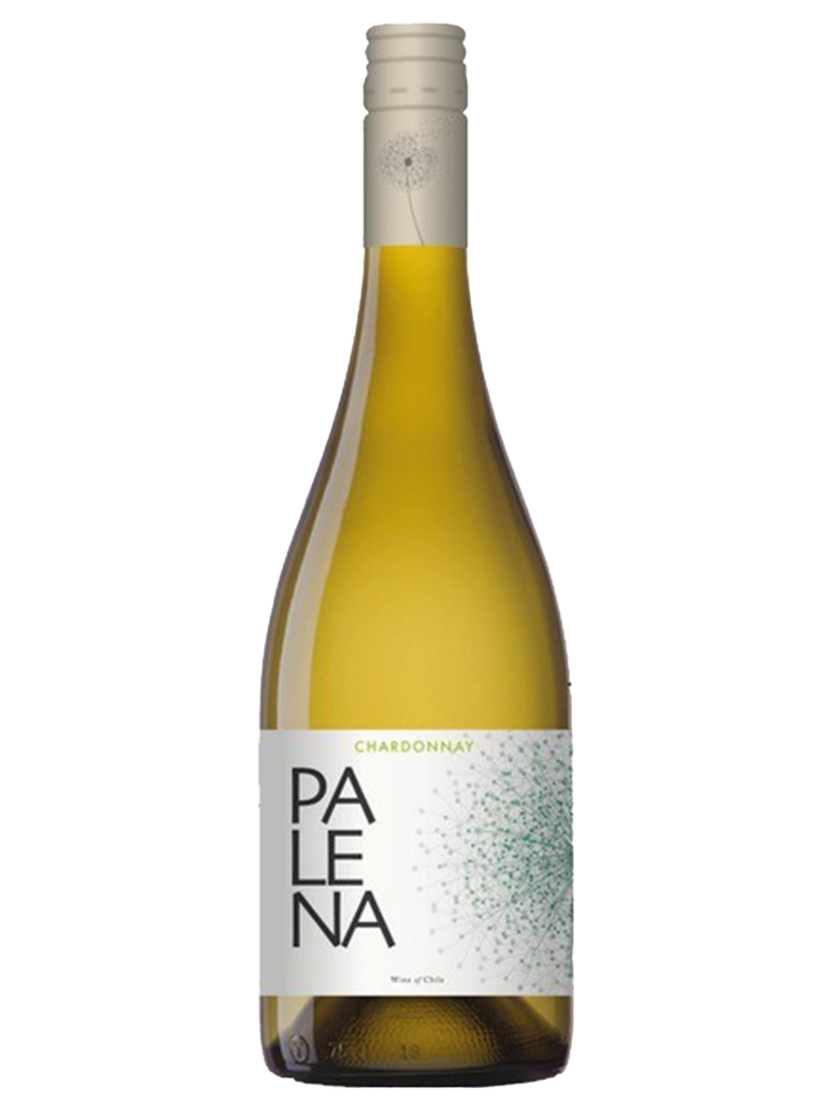 Maipo Valley Chardonnay 2024