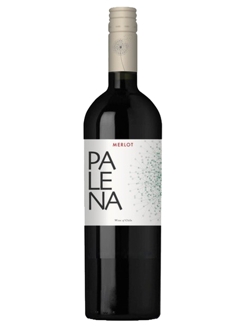Maipo Valley Merlot 2023