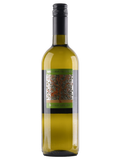 Salento IGP Bianco 2024