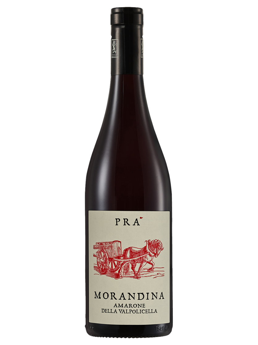 Amarone della Valpolicella DOCG Morandina 2018