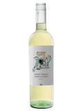 Terre di Chieti IGT Pinot Grigio 2024