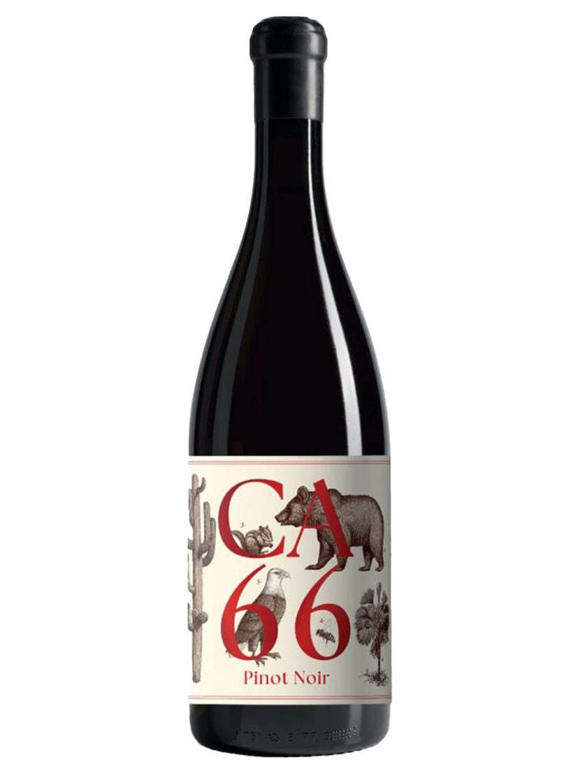 Südsteiermark DAC CA 66, Pinot Noir 2023